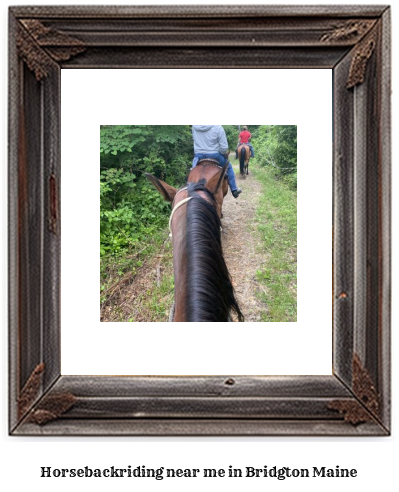 horseback riding near me in Bridgton, Maine